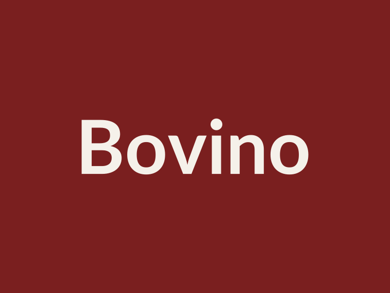 Placeholder bovino - San Pietro Carni